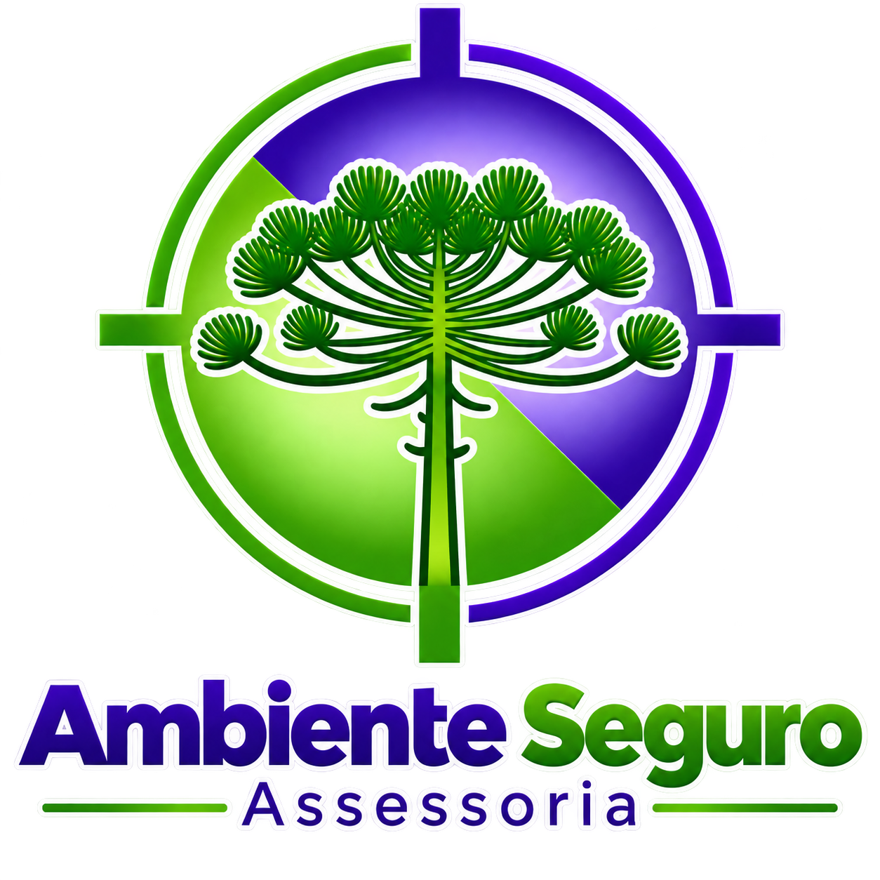 Ambiente Seguro Assessoria