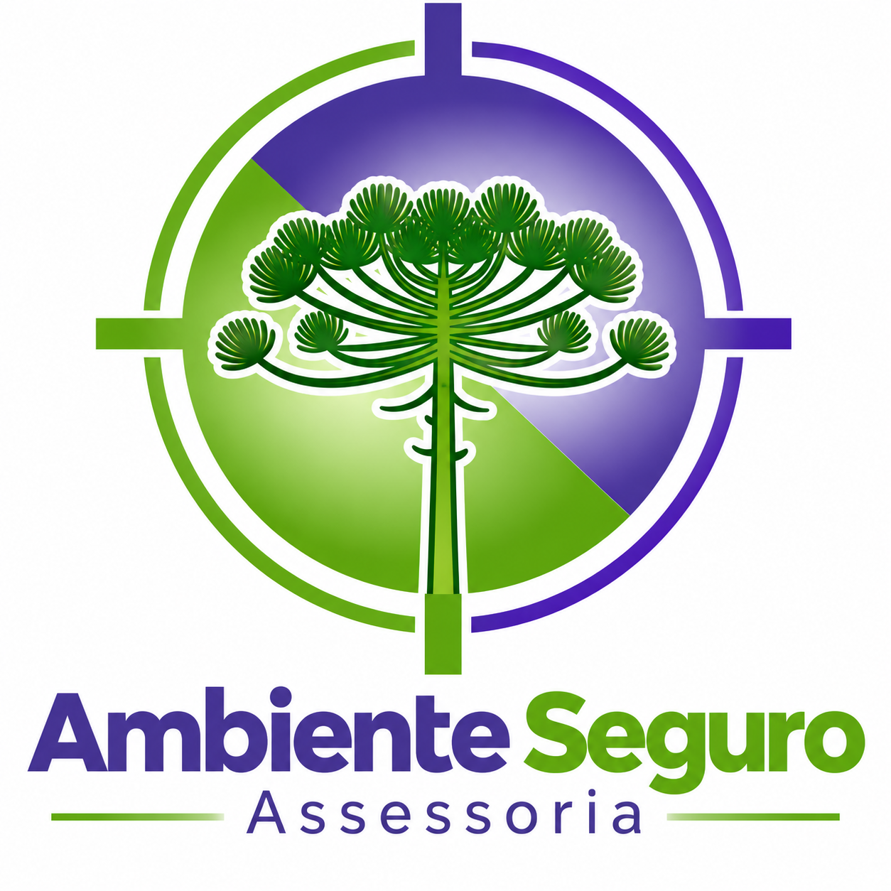 Ambiente Seguro Assessoria